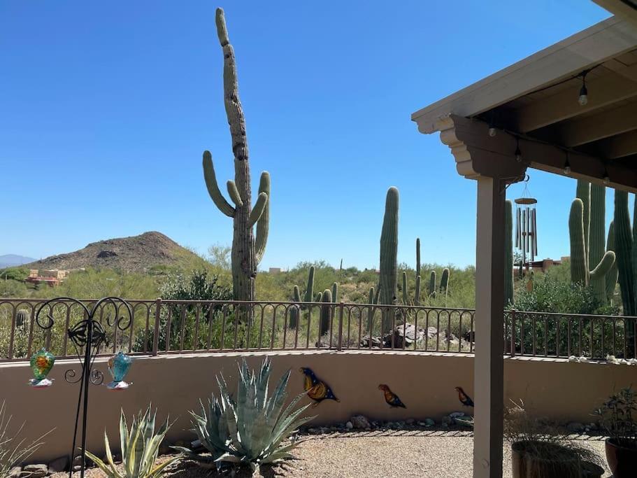 Tucson Mnt Foothills Saguaro Bliss Vila Exterior foto