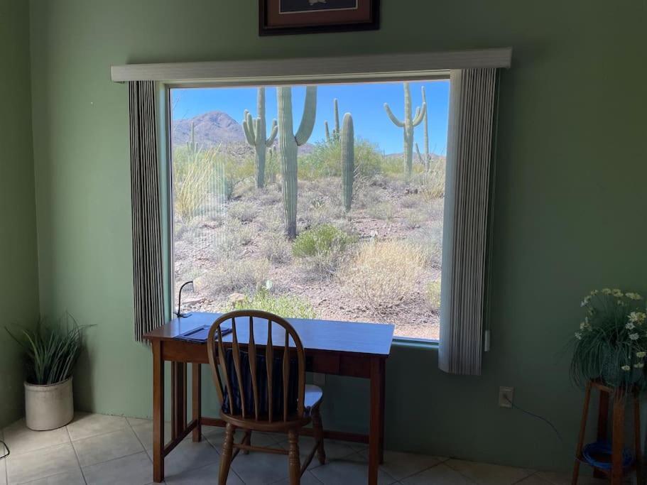 Tucson Mnt Foothills Saguaro Bliss Vila Exterior foto