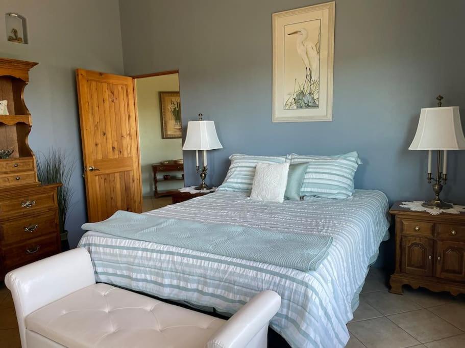 Tucson Mnt Foothills Saguaro Bliss Vila Exterior foto