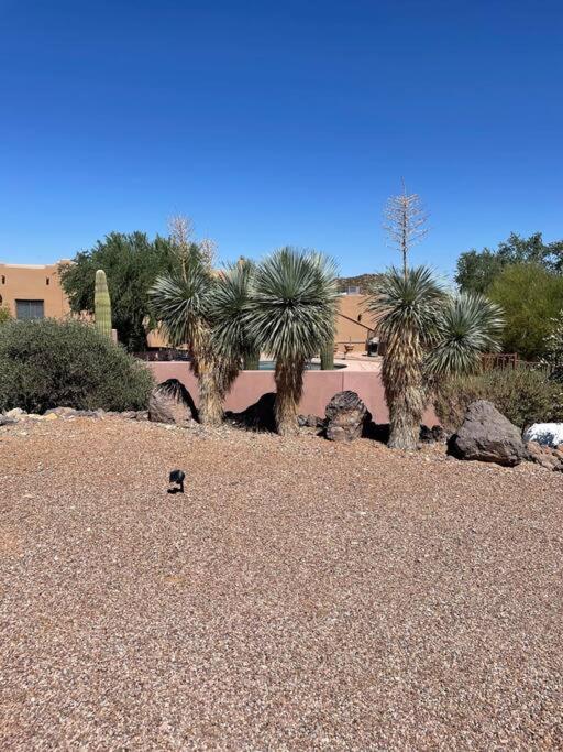 Tucson Mnt Foothills Saguaro Bliss Vila Exterior foto