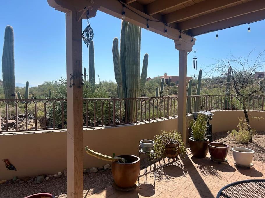 Tucson Mnt Foothills Saguaro Bliss Vila Exterior foto